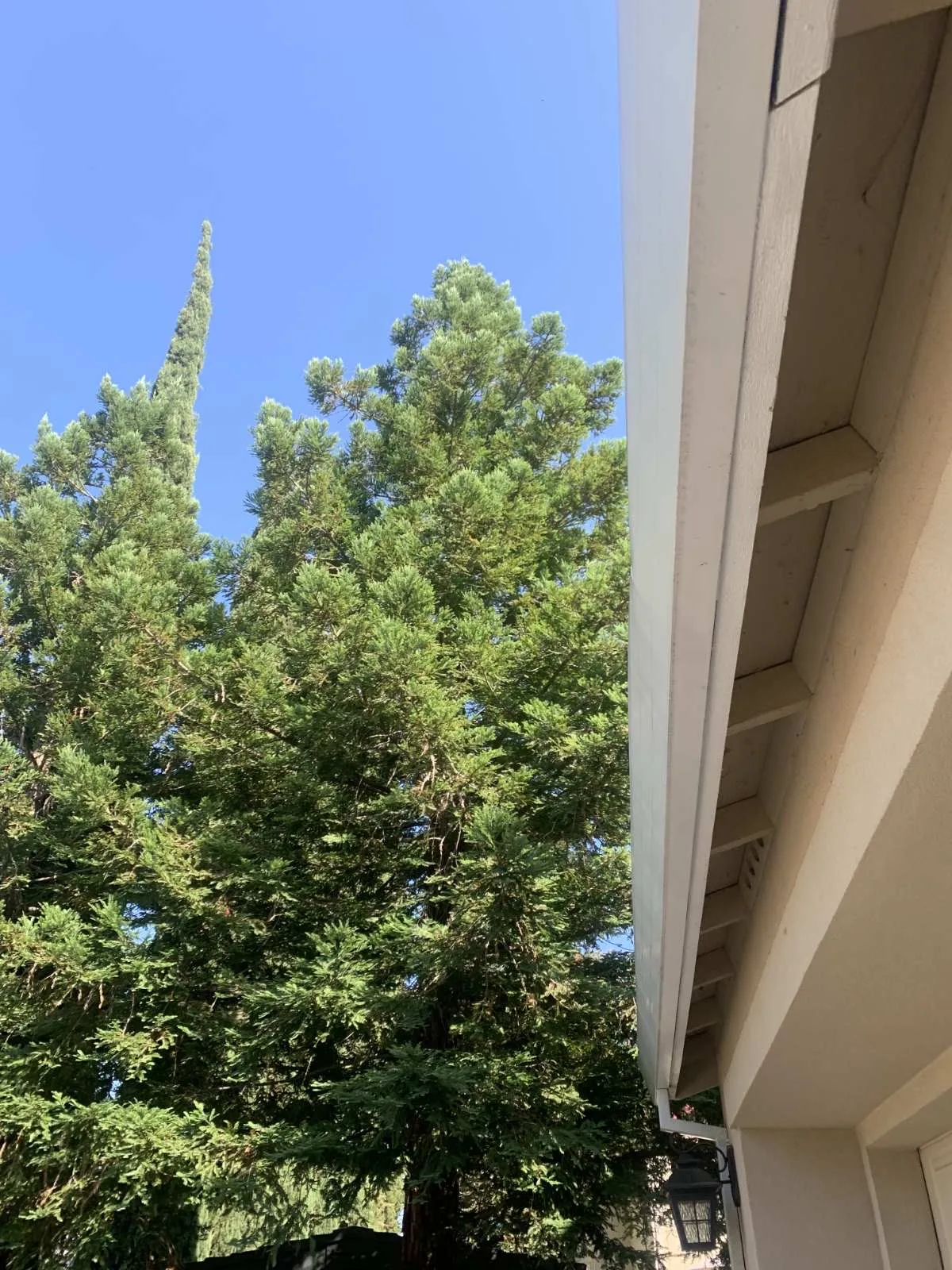Sacramento gutter guard installation service areas